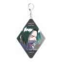 HUNTER~HUNTER ̪ Ani-Art aqua label 2e BIGٷް