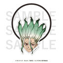 Dr.STONE ͱ ΐ_