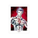 ^_] V Vengeance  Ani-Art A3 ϯĉH߽