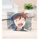 EܗY y䔼 Ani-Art aqua label 2e A6 
