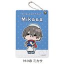 TV wi̋lx The Final Season ߽ M-NB (ж)