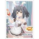 uFate/kaleid liner ؽρ Licht O̖v `낵 ذ (V / ưҲ)