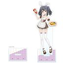  uFate/kaleid liner ؽρ Licht O̖v `낵 屸ٽ (V / ưҲ)