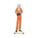 TV uDoll* -Reinterpretation of Flowering-v  BIGٽ Ver. B