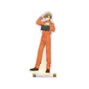 TV uDoll* -Reinterpretation of Flowering-v z BIGٽ Ver. B