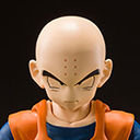S.H.Figuarts ׺ްZ -nlŋ̒j-
