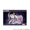 ٽ uDr.STONEv 76 /  (ʎ ׽)