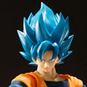 S.H.Figuarts ׺ްْ ذ ߰Ԑlޯ޽߰Ԑl  --
