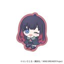 WIND BREAKER ï / ֖C ʂ 