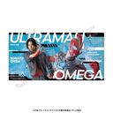 u ذށv ްϯ (ݵҶ &  )