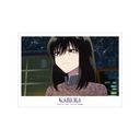 TV wӂ̂ Season2x {c ʎ A3 ϯĉH߽