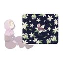 B -n̉^ɂ-  Botania ϳ߯