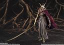 S.H.Figuarts ELDEN RING йׂ̐nAƱ