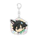 FAIRY TAIL 100N ٷް (ڲ / )