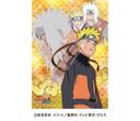 ĸؽټ޸޿ 208߰ NARUTO -- ` 208-AC083 tƒq