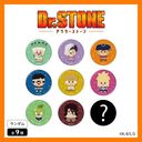 Dr.STONE ъޯ BOX