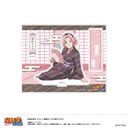 NARUTO -- ` ٽ - 肷Ă΂! - (C t컸)