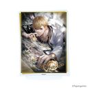 ٽ uޭ`EVOL~LOVE`v 30 / ץɗ ( ׽)