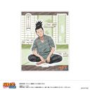 NARUTO -- ` ٽ - 肷Ă΂! - (E ޗǼ)