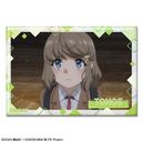 tYͻ۰̖Ȃ ۸ъޯ ޻޲ 12 (ÉG)