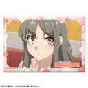 tYͻ۰̖Ȃ ۸ъޯ ޻޲ 13 (ot)