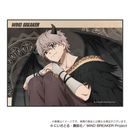 WIND BREAKER ݹ  Ver. eRq