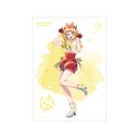 �y�����̎q�z MEM���� Ani-Art aqua label ��4�e A3 ϯĉ��H�߽��