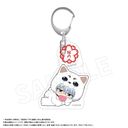 TV u3NZg ┪搶v ٷް  Ver. A c┪ [⍰]