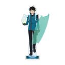 TV��� �uܰ����ضް�v �`�����낵 �O�_�C �퓬�J�n Ver. BIG���ٽ����