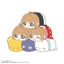 CCS-08 ޷ رޕ ۂĺϽ BOX