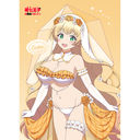 �]��������掵���q�������̂ŁA�C�܂܂ɖ��p���ɂ߂܂� �`�����낵 B2 ��߽�ذ (���� / ���ިݸސ���) W�����