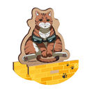 �uƬ�ĥ��ޥ�ޥ���ݸ޷��āv �ؐ�����緬׽���� �Ƽ