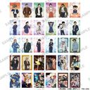 �u���T���݁v ���ϲ�޺ڸ��� Vol. 13 BOX