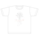 �����ËS ���ް����T��� (�ذ����)