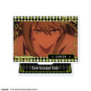 TV��� �wFate/strange Fake�x �Ʊ��ٽ���� �޻޲� 13 (�ݻ� / C)