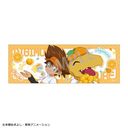 �޼��ݱ�������� �ݸ޽������ޯ�� ���_���� & ����� / �ٰ��߰è�