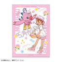 �޼��ݱ�������� A4 �ݸ�ٸر̧�� ���V���� & ����� �������� & ����� / �ٰ��߰è�