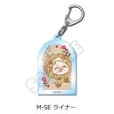 TV wi̋l The Final Seasonx ٷް M-SE (ײŰ)
