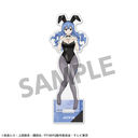 FAIRY TAIL 100�N���� �`�����낵 ���ٽ���� �ޭ�ޱ�۸�� B