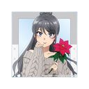 �t�����Y�ͻ���۰��̖������Ȃ� �`�����낵 �������� (�~) ���ٶ��� �y�������� �ް��ް 2025 Ver.�z