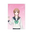 TV��� �w�ЂƉz���ė��ɂȂ�x �������� �߽Ķ���