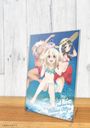 Fate/kaleid liner ؽρ ³ާ ! ̲ & V & ۴ ٱĽ