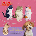 �����M�Y