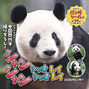 ��ݼ�ݥ�������ڲڲ